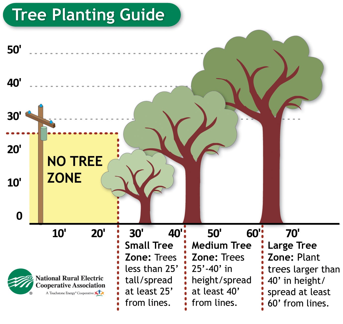 Tree planting guide